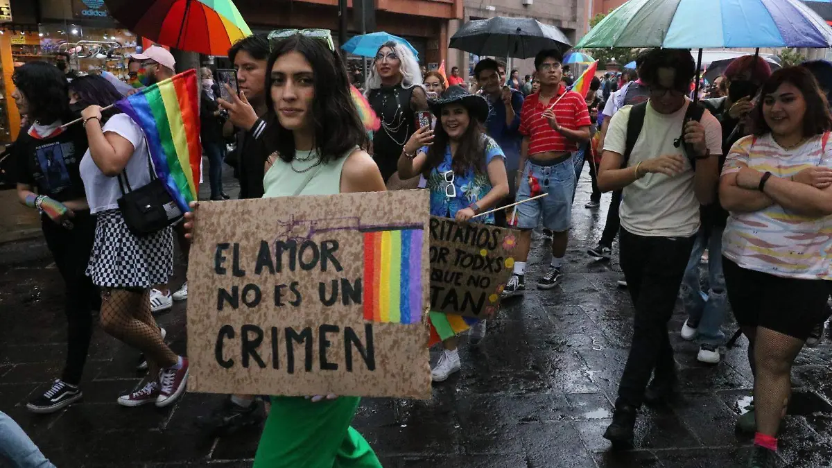 Marcha LGBT (4)